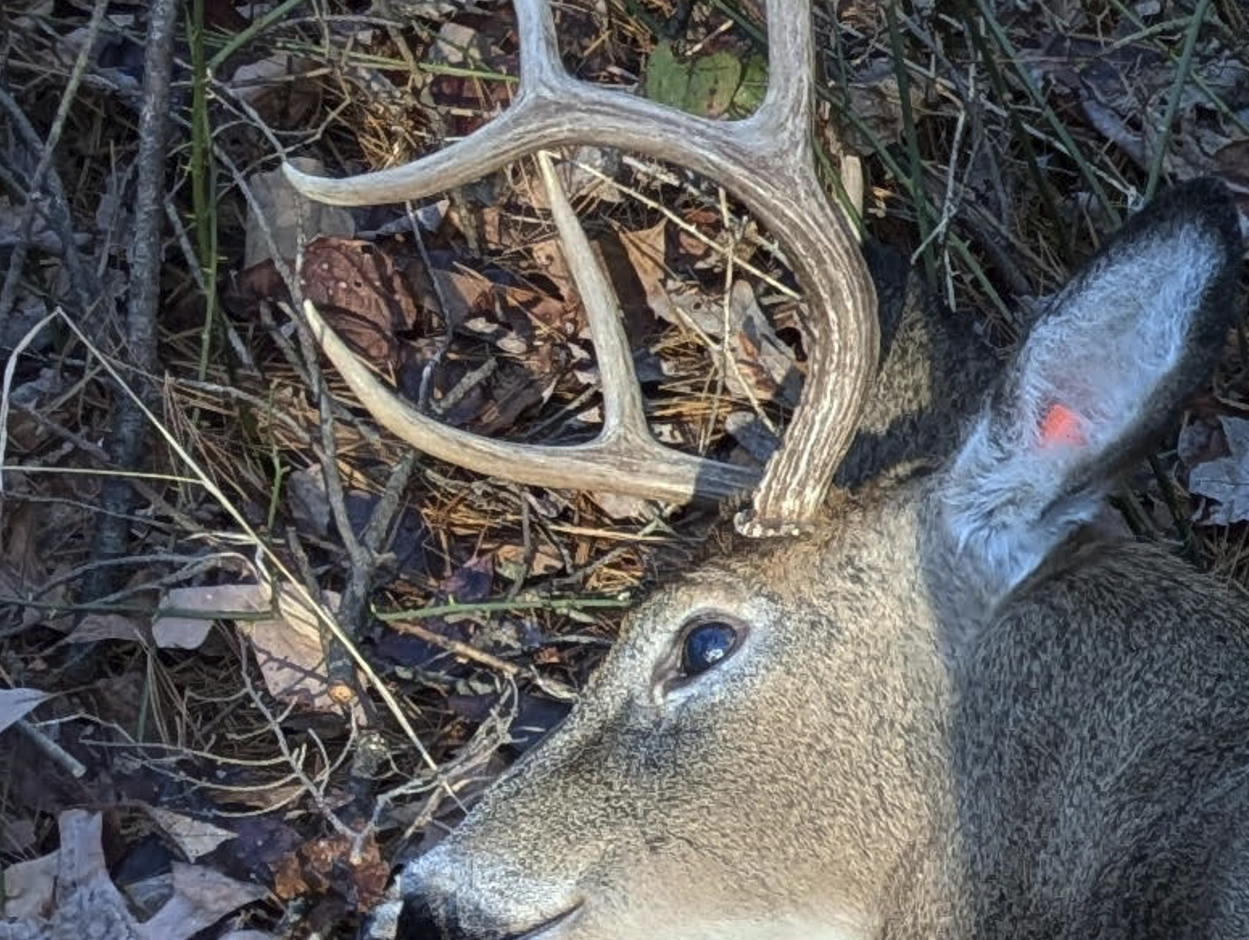 DEER-BUD™